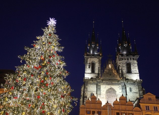 vánoční strom v Praze